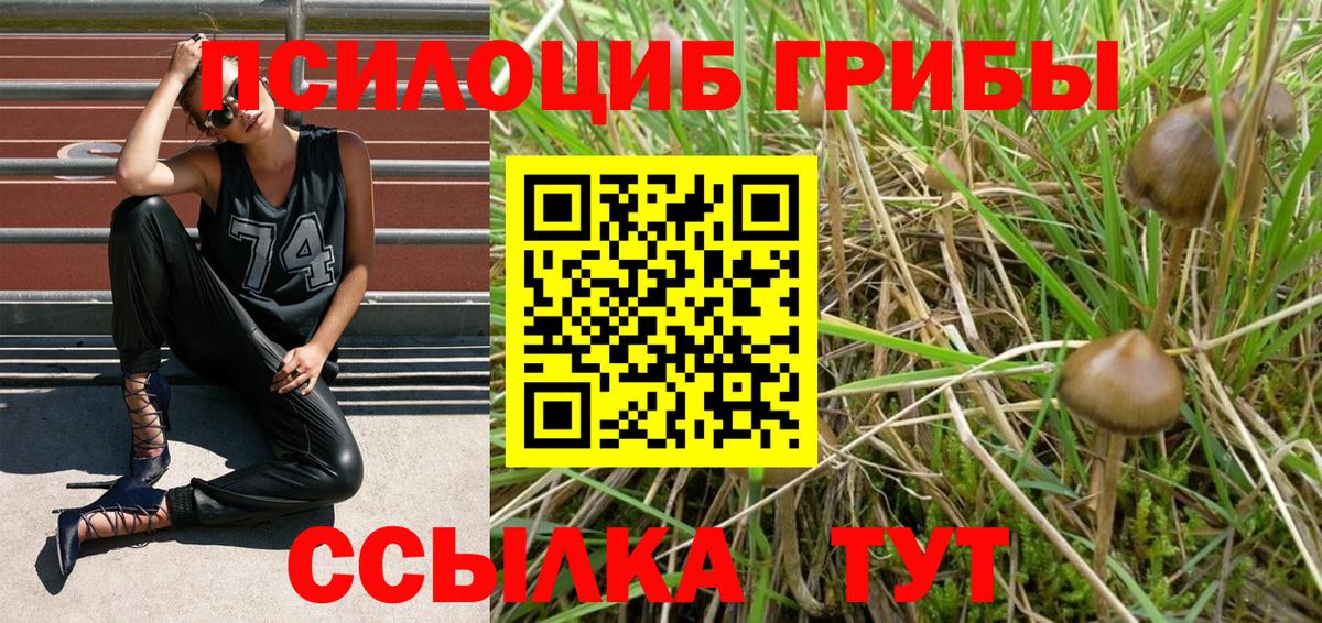 Галлюциногенные грибы ЛСД Чернушка