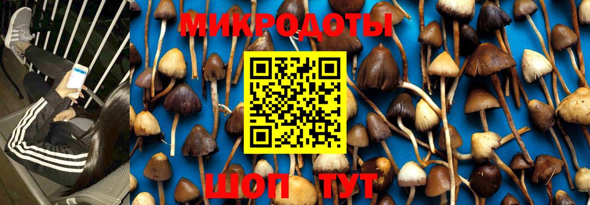 Псилоцибиновые грибы мицелий  Вход с VPN  Чернушка 